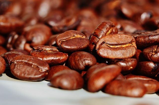 コーヒーかすでゴキブリを撃退 ゴキブリの嫌いな匂いはコーヒー に隠された嘘とは Tasso