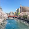 大岡川桜祭り2020の屋台の営業時間や場所！異国情緒あるメニューが魅力的